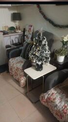 Blk 94 Toa Payoh Palm Spring (Toa Payoh), HDB 3 Rooms #563233221